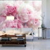 Fototapeta Kwitnące Peonie