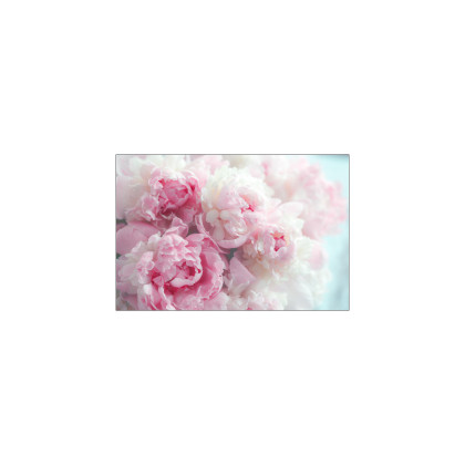 Fototapeta Kwitnące Peonie