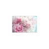Fototapeta Kwitnące Peonie
