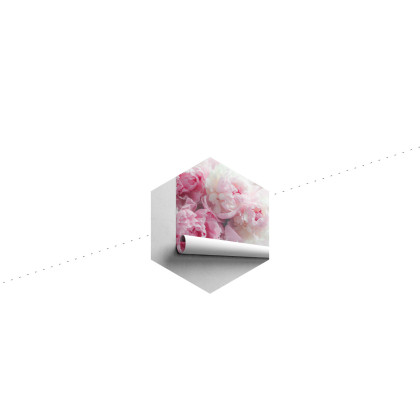 Fototapeta Kwitnące Peonie