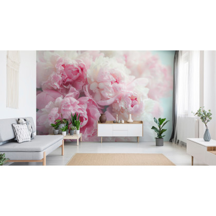 Fototapeta Kwitnące Peonie