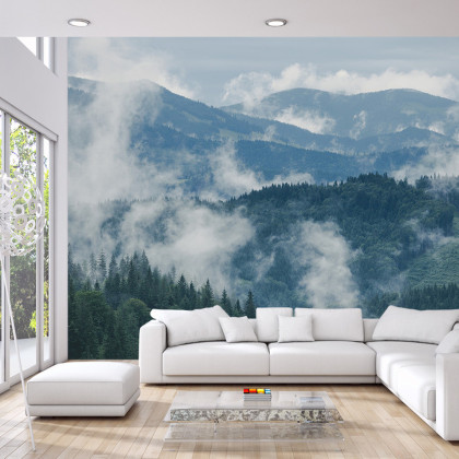 Fototapeta Las We Mgle