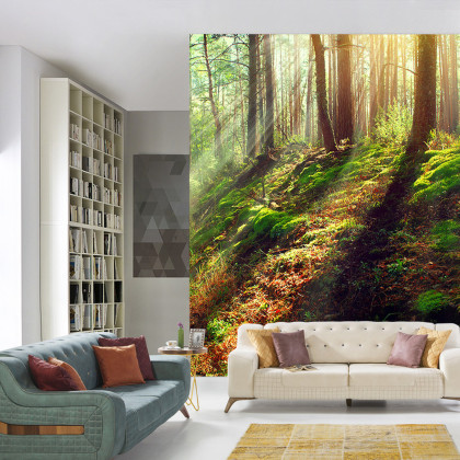 Fototapeta Las Natura