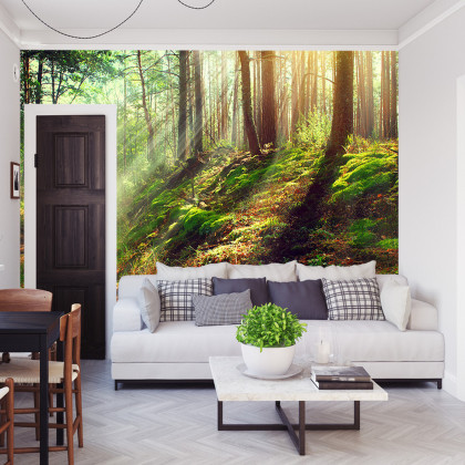 Fototapeta Las Natura