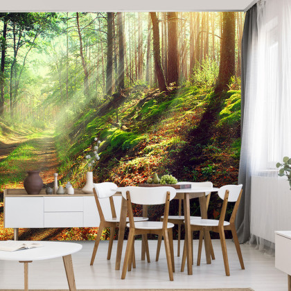 Fototapeta Las Natura
