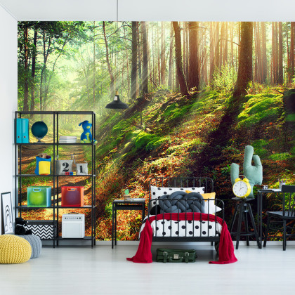 Fototapeta Las Natura