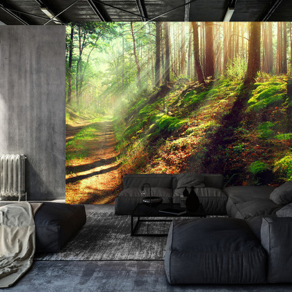 Fototapeta Las Natura