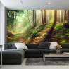 Fototapeta Las Natura