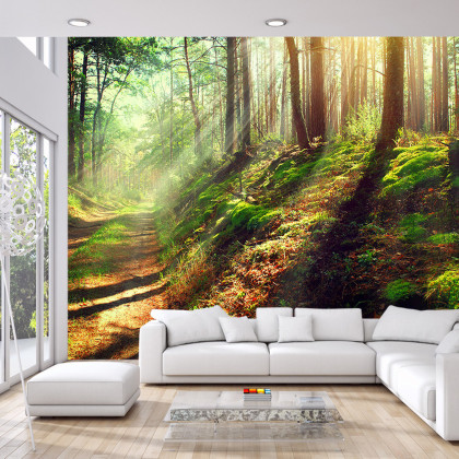 Fototapeta Las Natura