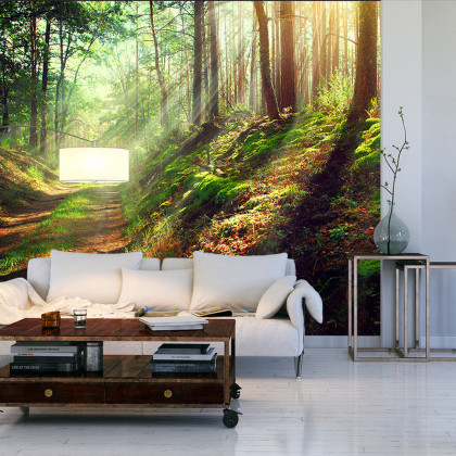 Fototapeta Las Natura