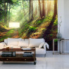 Fototapeta Las Natura