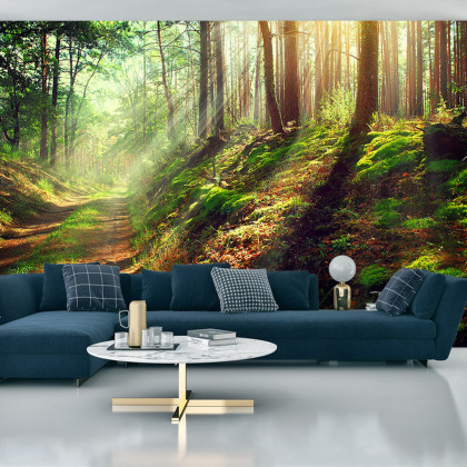 Fototapeta Las Natura