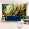 Fototapeta Las Natura