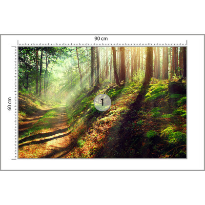 Fototapeta Las Natura