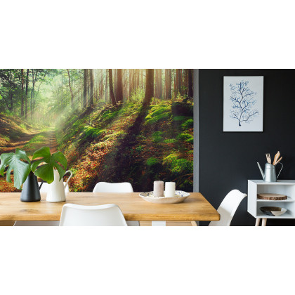 Fototapeta Las Natura
