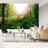 Fototapeta Las Drzewa Woda