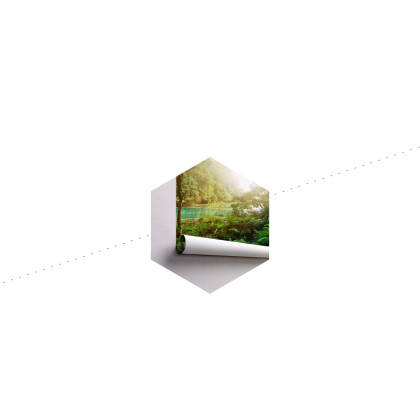 Fototapeta Las Drzewa Woda