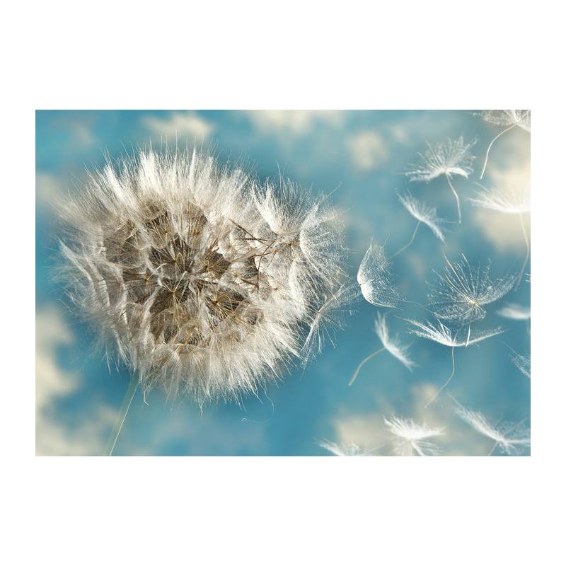 Fototapeta Dmuchawiec 3D