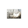 Fototapeta Dmuchawiec Krople