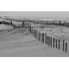 Fototapeta Plaża Morze Wydmy