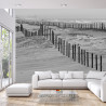 Fototapeta Plaża Morze Wydmy