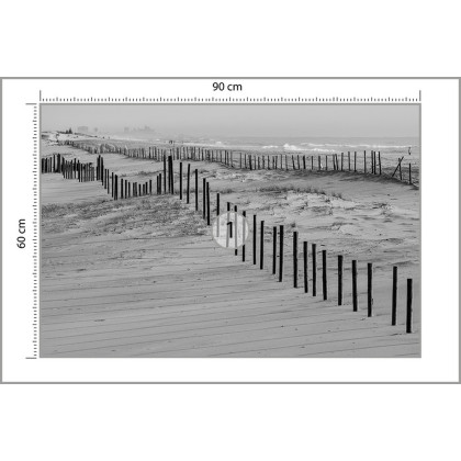 Fototapeta Plaża Morze Wydmy