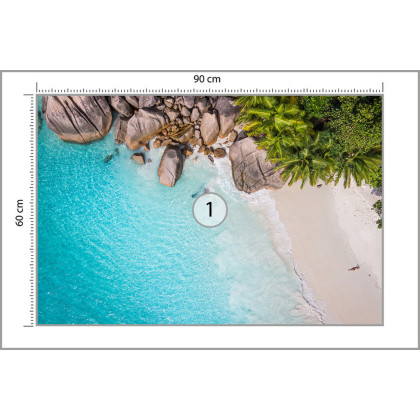 Fototapeta Plaża Ocean Palmy