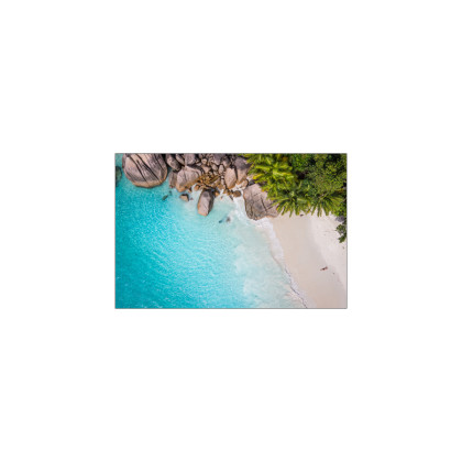 Fototapeta Plaża Ocean Palmy