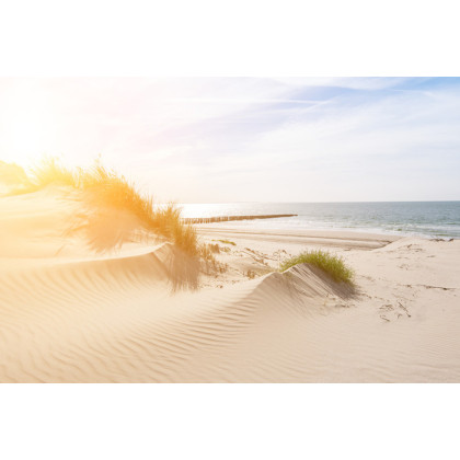 Fototapeta Plaża Morze Wydmy