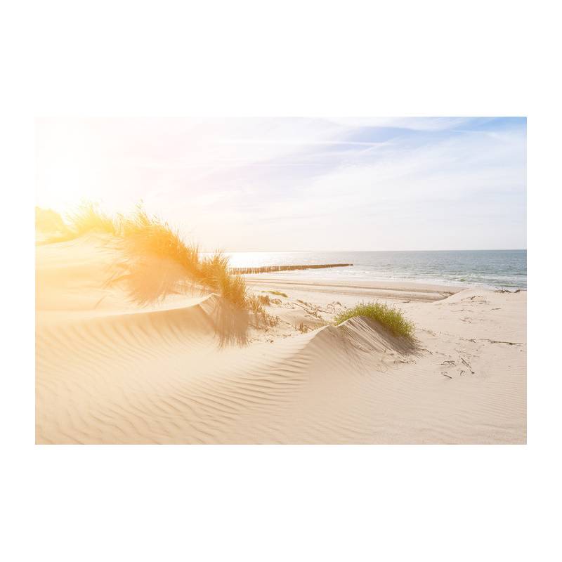 Fototapeta Plaża Morze Wydmy