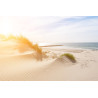 Fototapeta Plaża Morze Wydmy