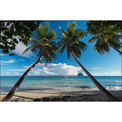 Fototapeta Plaża Ocean Palmy