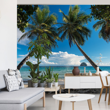 Fototapeta Plaża Ocean Palmy