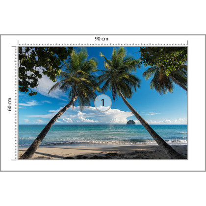 Fototapeta Plaża Ocean Palmy