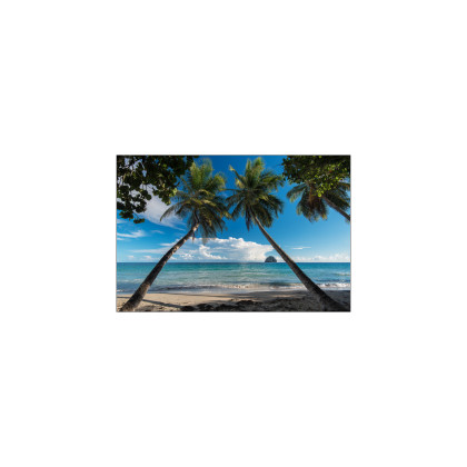 Fototapeta Plaża Ocean Palmy