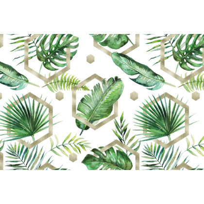 Fototapeta Liście Monstera