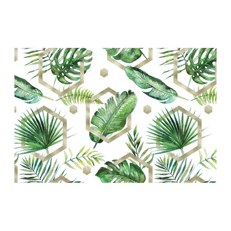 Fototapeta Liście Monstera