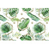 Fototapeta Liście Monstera