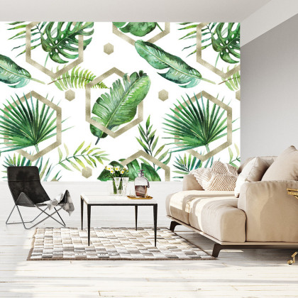 Fototapeta Liście Monstera