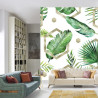 Fototapeta Liście Monstera
