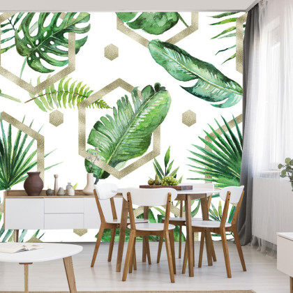 Fototapeta Liście Monstera