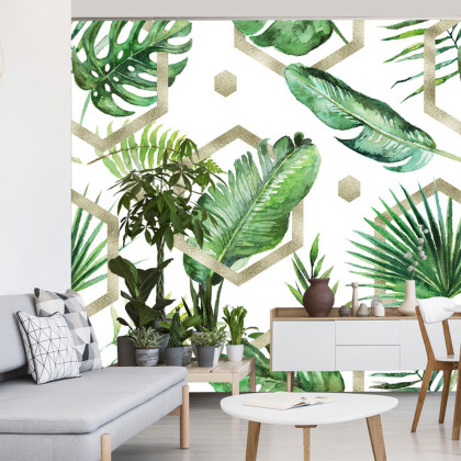 Fototapeta Liście Monstera