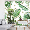 Fototapeta Liście Monstera