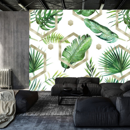 Fototapeta Liście Monstera