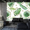 Fototapeta Liście Monstera