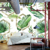 Fototapeta Liście Monstera