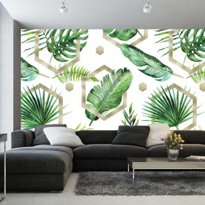 Fototapeta Liście Monstera
