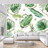 Fototapeta Liście Monstera