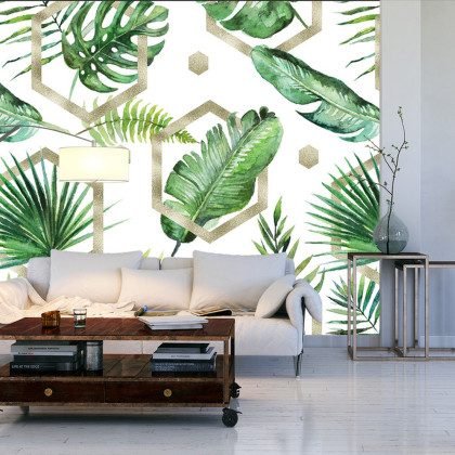 Fototapeta Liście Monstera