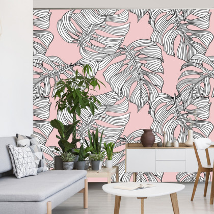 Fototapeta Liście Monstera
